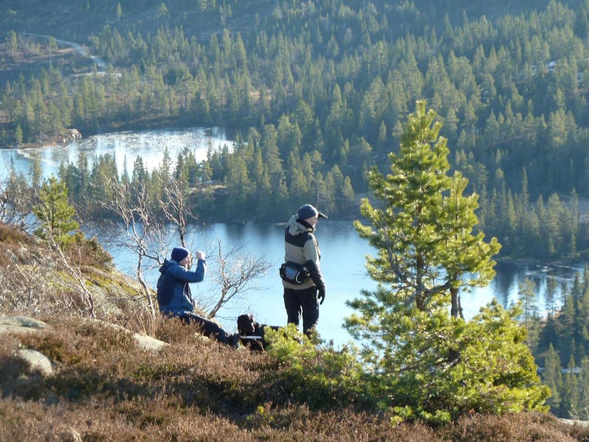 Feriehus Fantastisk Beliggenhet! Til Leie På Skrim!