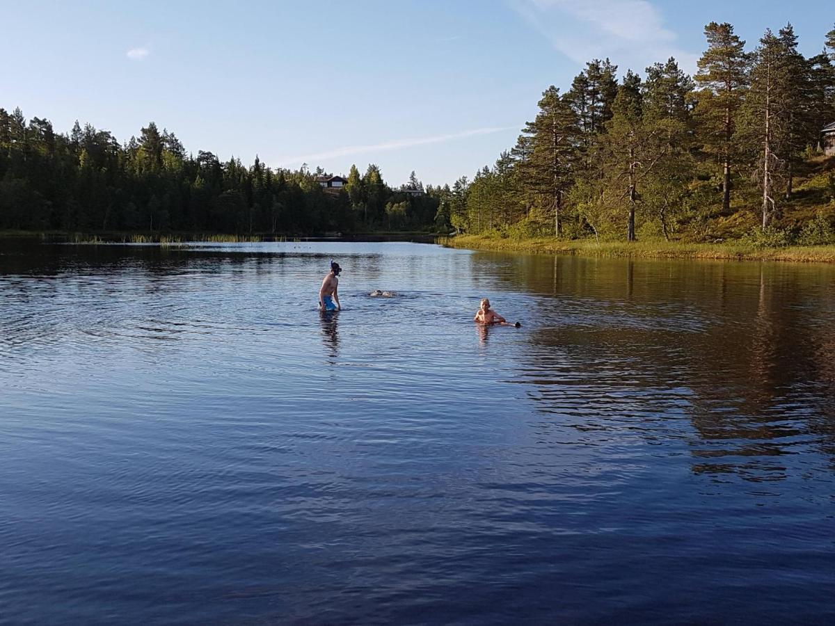Fantastisk Beliggenhet! Til Leie På Skrim! Feriehus Kongsberg