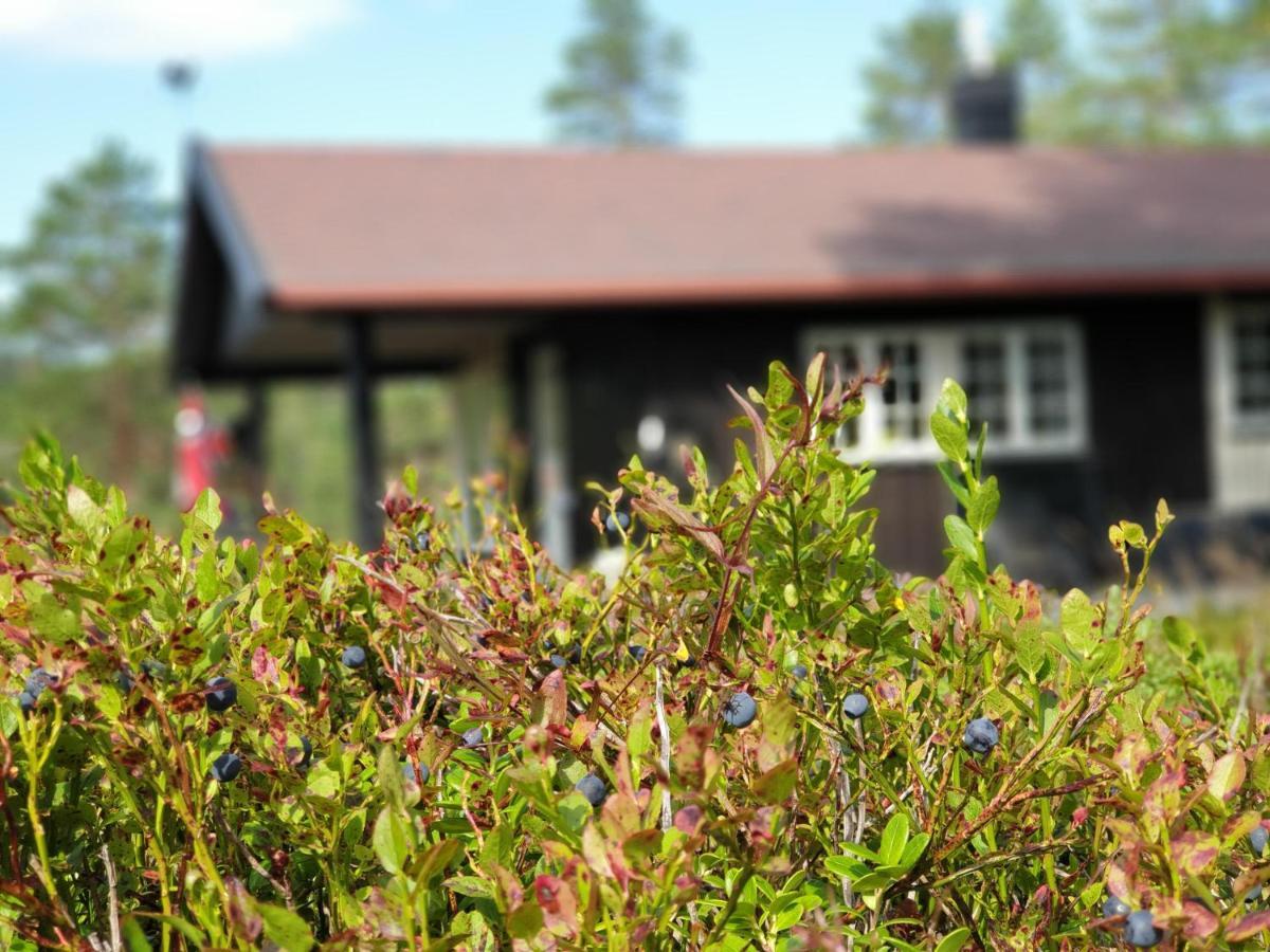 Feriehus Fantastisk Beliggenhet! Til Leie På Skrim! Kongsberg