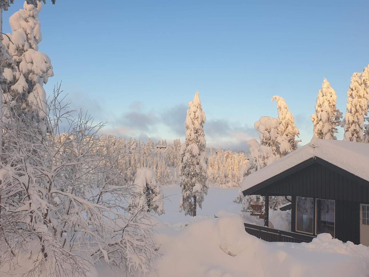 Fantastisk Beliggenhet! Til Leie På Skrim! Feriehus Kongsberg